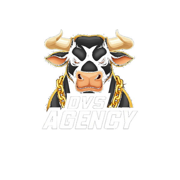 DVS AGENCY